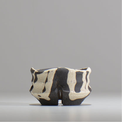 沼野 秀章 / 黒二白 / S  / nh_bw02_xs/ 約φ8.5cm / 植木鉢