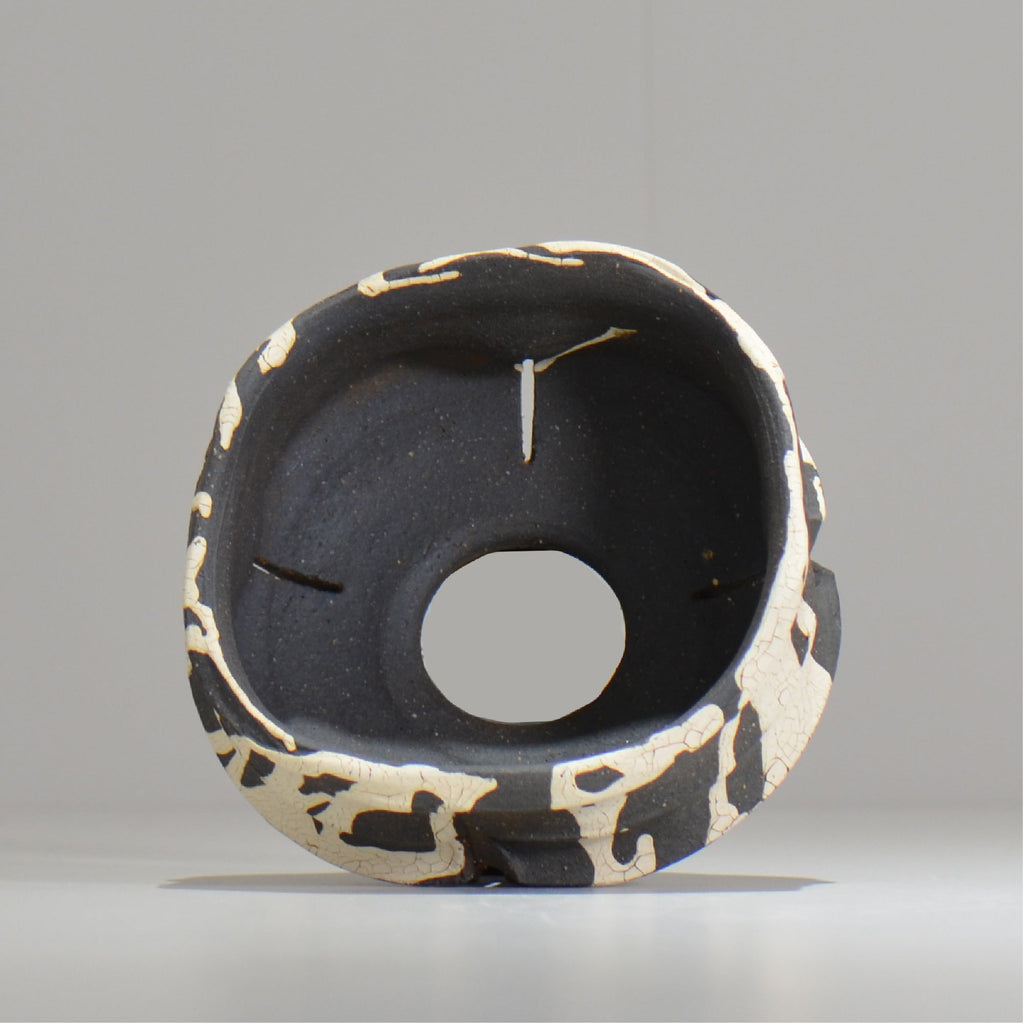 沼野 秀章 / 黒二白 / S  / nh_bw10_s / 約φ12cm / 植木鉢