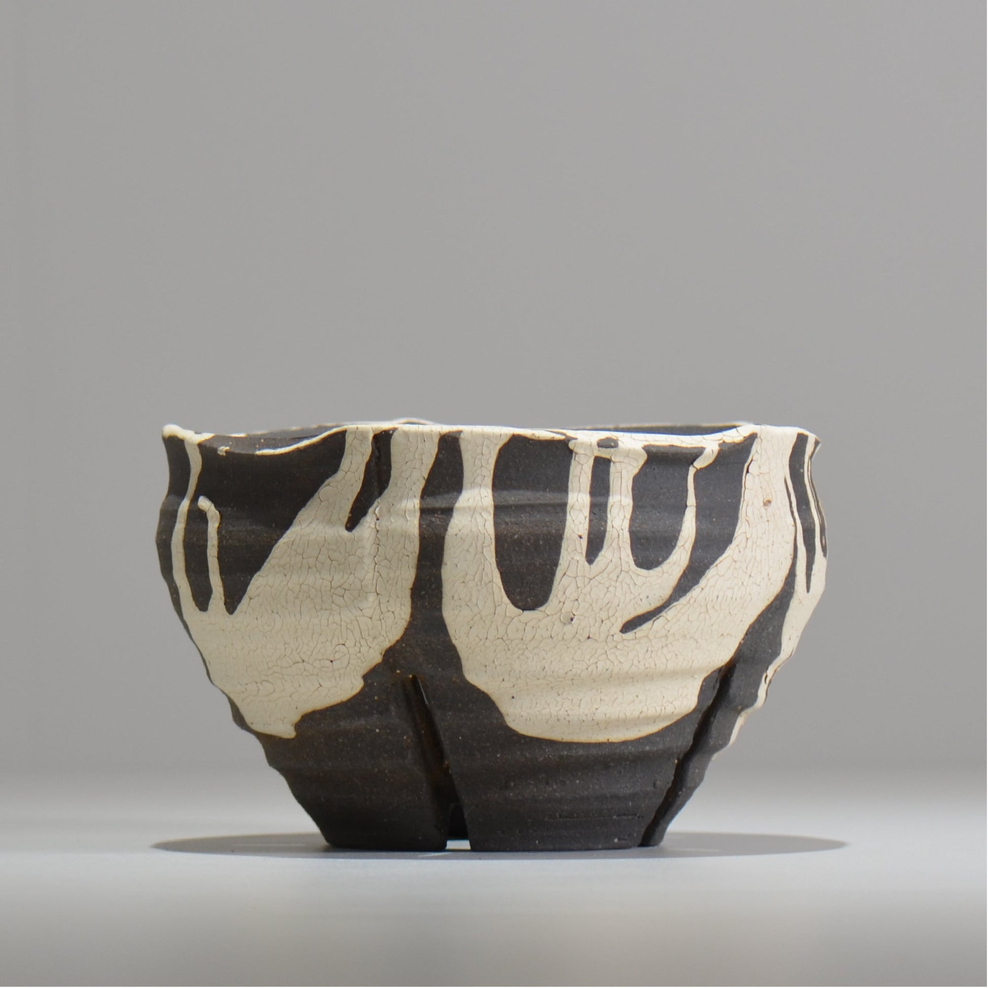 沼野 秀章 / 黒二白 / S  / nh_bw16_m/ 約φ15cm / 植木鉢