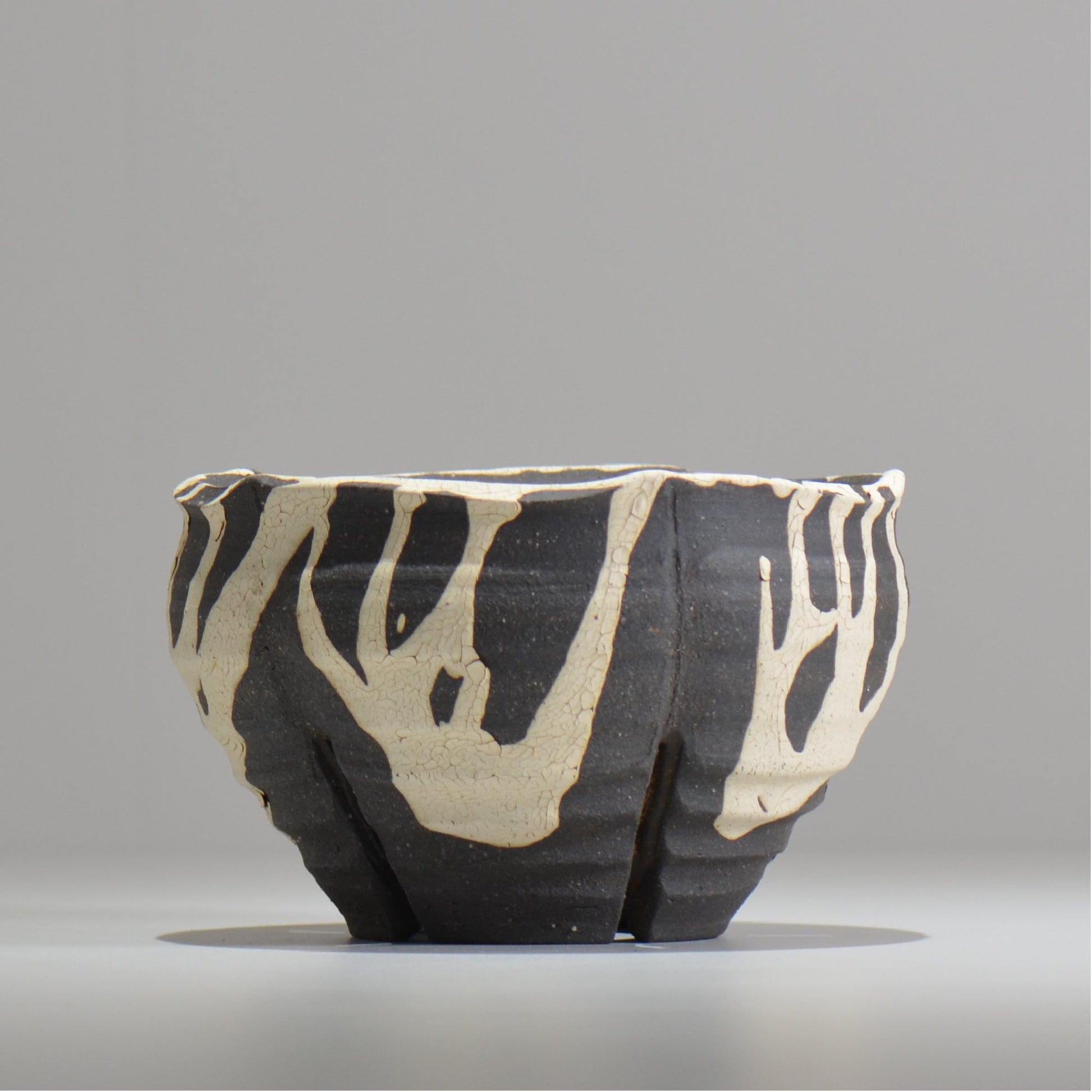 沼野 秀章 / 黒二白 / S  / nh_bw16_m/ 約φ15cm / 植木鉢