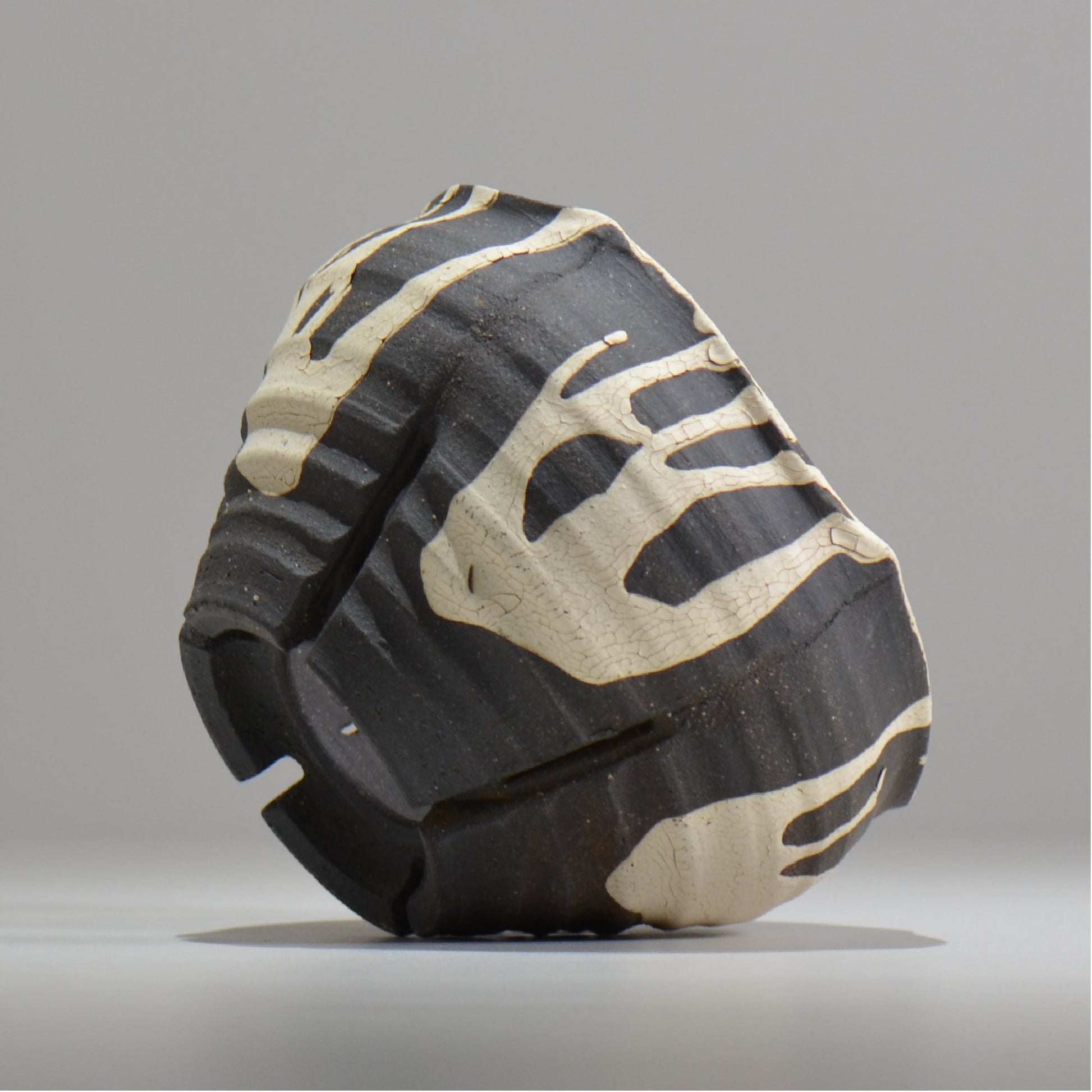 沼野 秀章 / 黒二白 / S  / nh_bw16_m/ 約φ15cm / 植木鉢