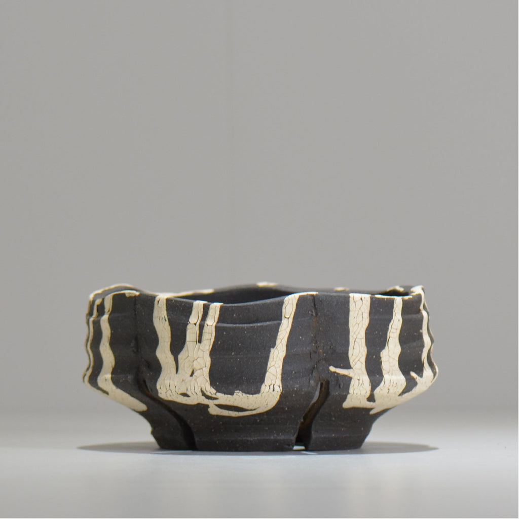 沼野 秀章 / 黒二白 / S  / nh_bw17_m/ 約φ15cm / 植木鉢