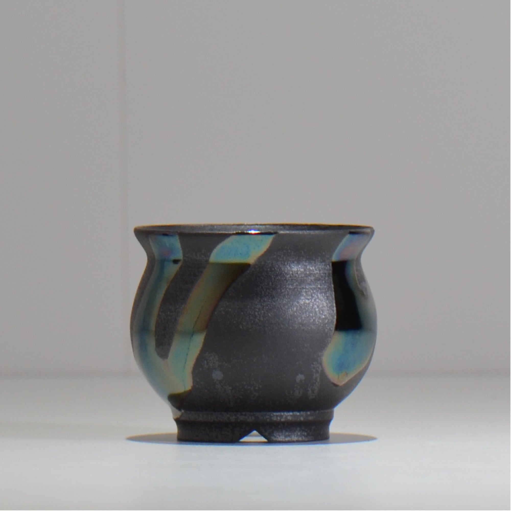 塊根植物・観葉植物の植木鉢専門店 「HACHILABO - ハチラボ- 」