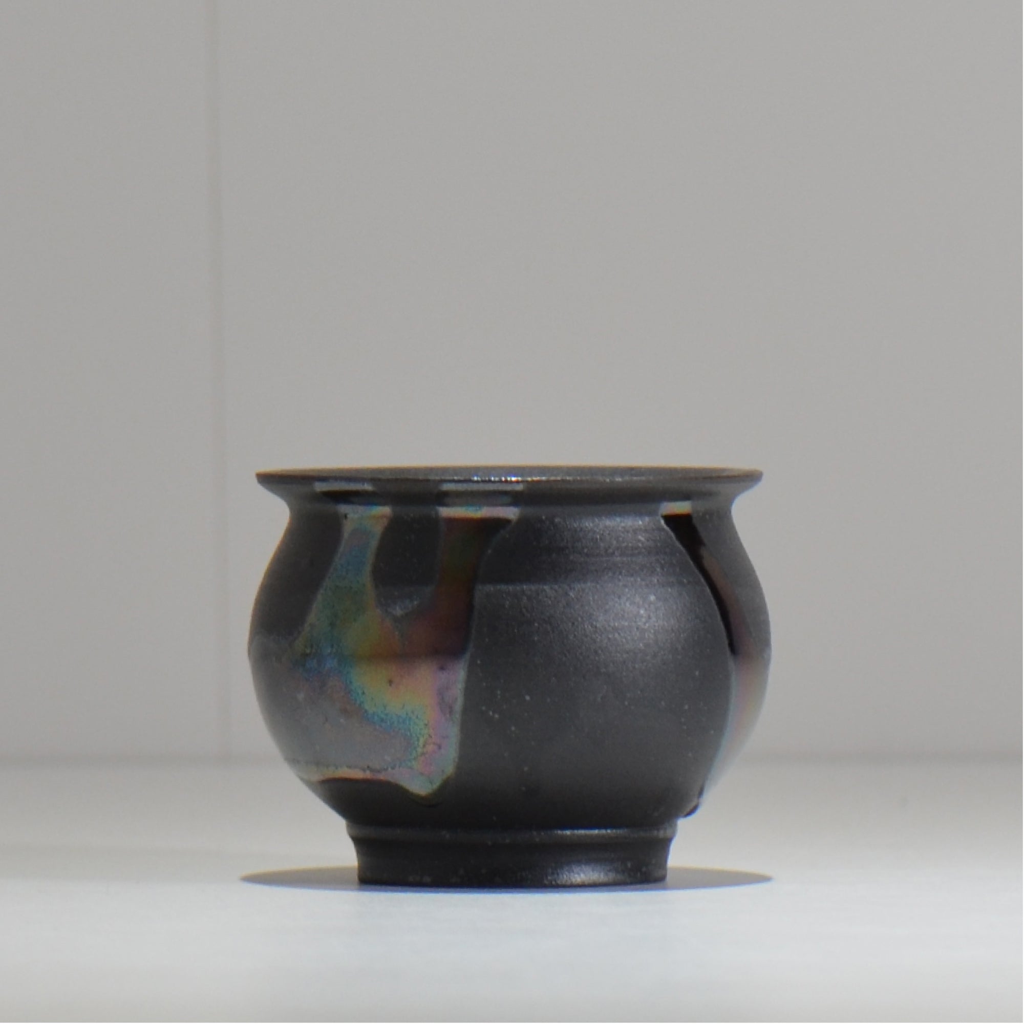 塊根植物・観葉植物の植木鉢専門店 「HACHILABO - ハチラボ- 」