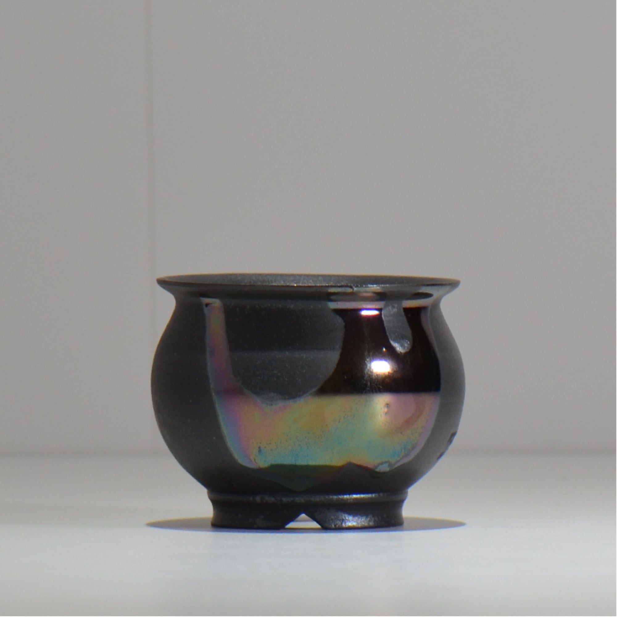 塊根植物・観葉植物の植木鉢専門店 「HACHILABO - ハチラボ- 」