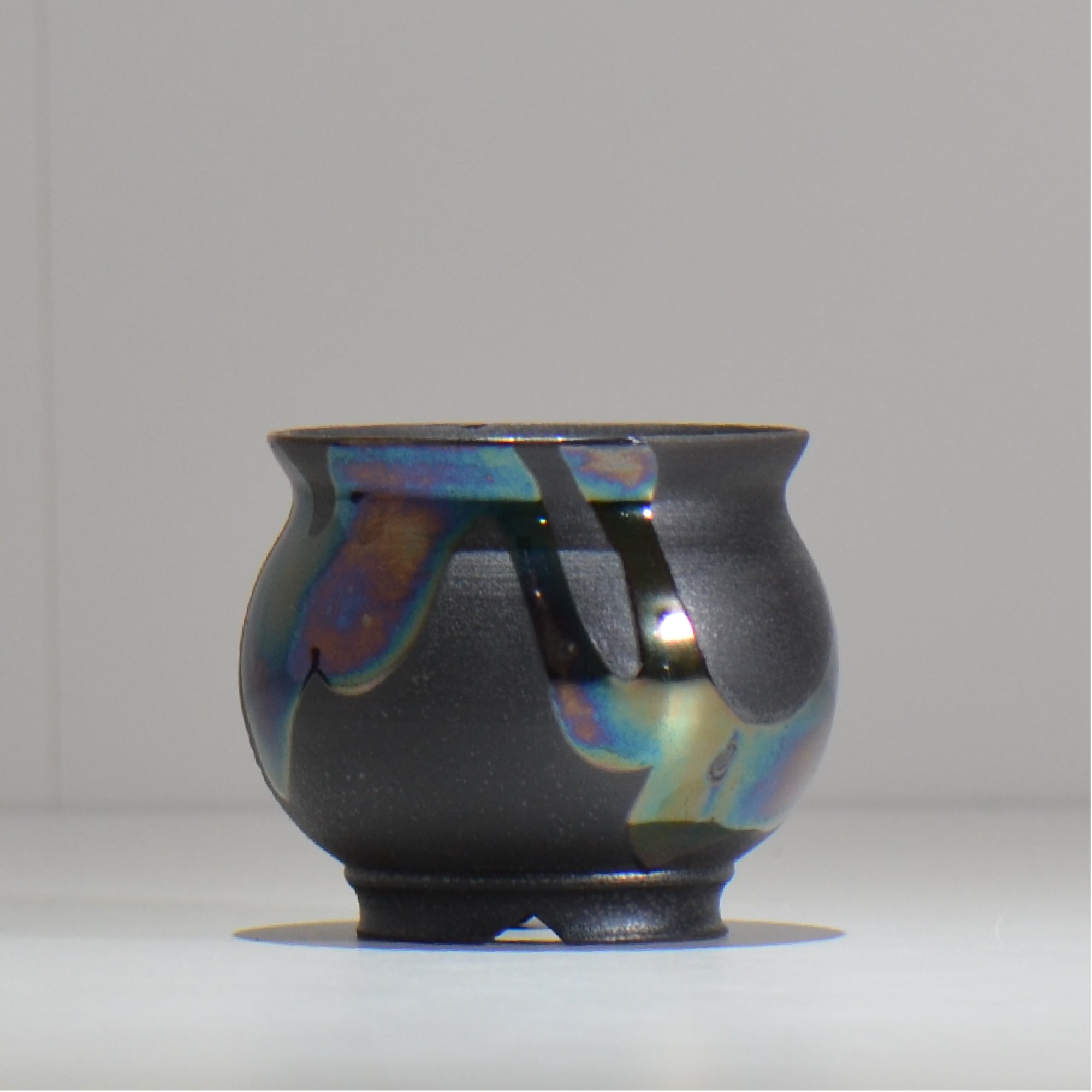 塊根植物・観葉植物の植木鉢専門店 「HACHILABO - ハチラボ- 」