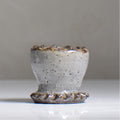 NAOTTERY / Cosmos /  nt2_cm01_xs /  約 φ6.7cm /  植木鉢