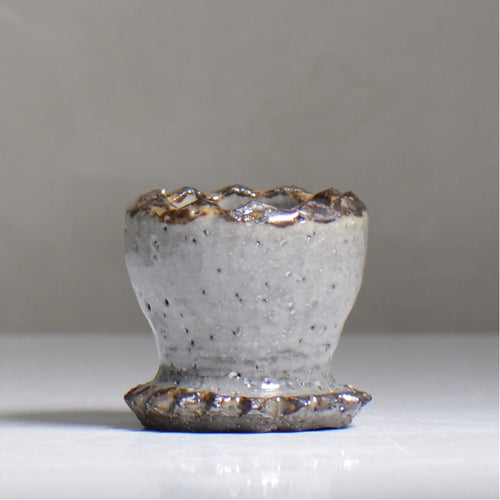 NAOTTERY / Cosmos /  nt2_cm01_xs /  約 φ6.7cm /  植木鉢