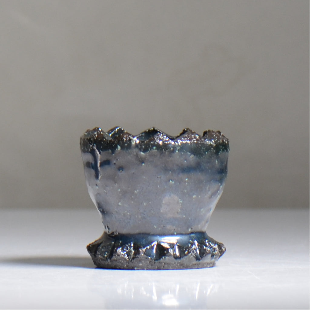 NAOTTERY / Cosmos /  nt2_cm02_xs /  約 φ7cm /  植木鉢