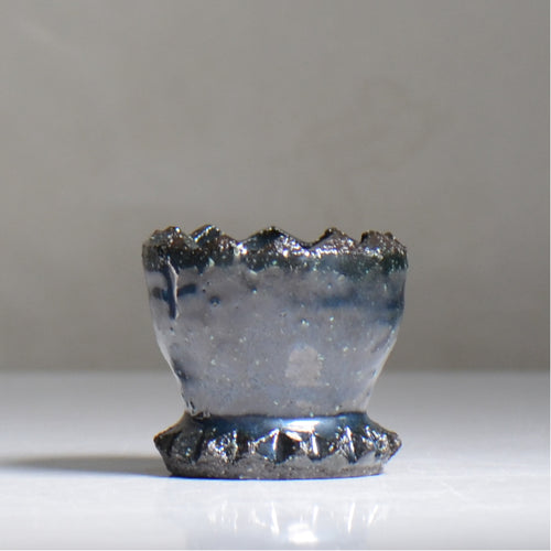 NAOTTERY / Cosmos /  nt2_cm02_xs /  約 φ7cm /  植木鉢