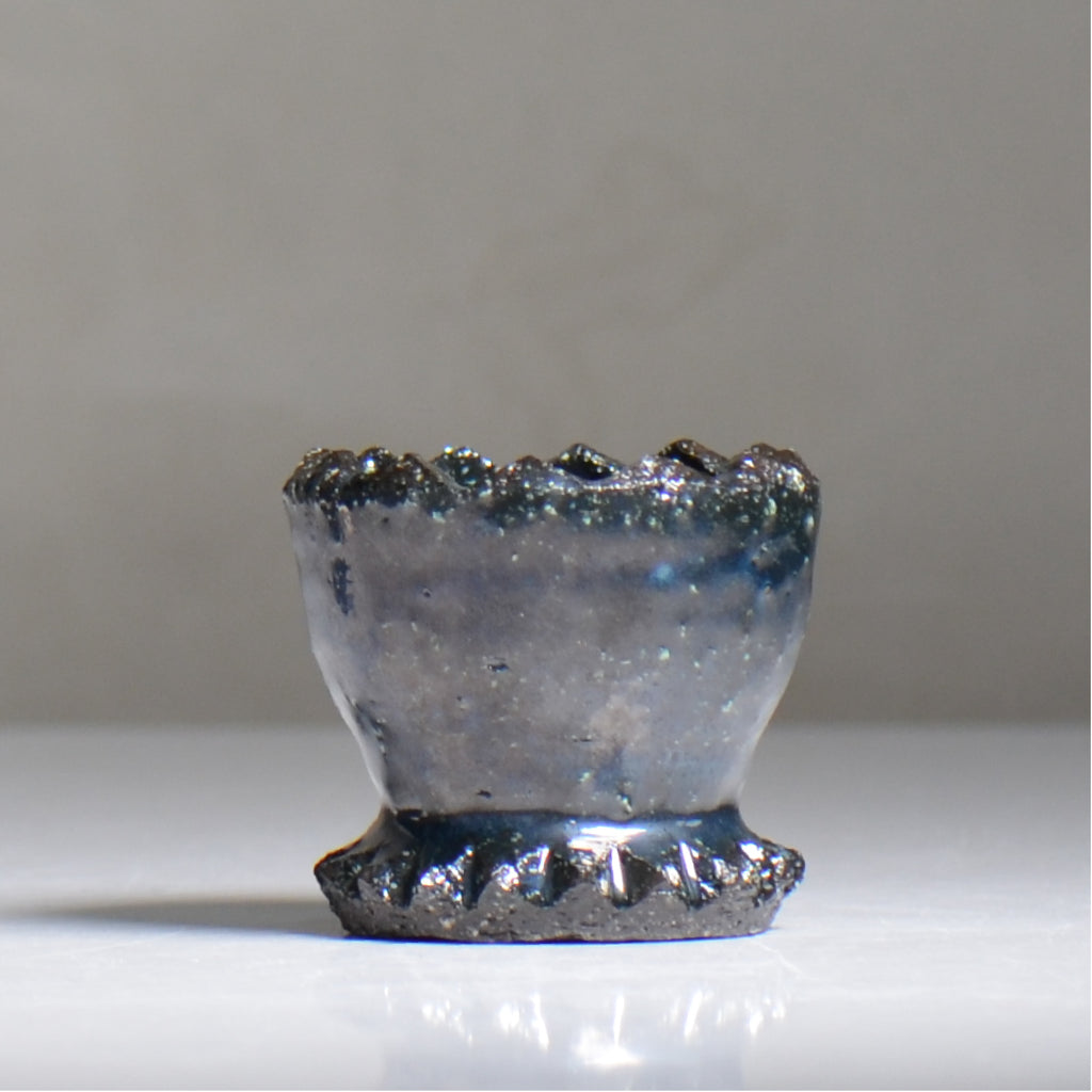 NAOTTERY / Cosmos /  nt2_cm02_xs /  約 φ7cm /  植木鉢