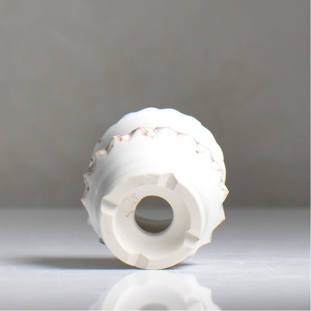 NAOTTERY / Cosmos /  nt2_cm11_xs /  約 φ7cm /  植木鉢