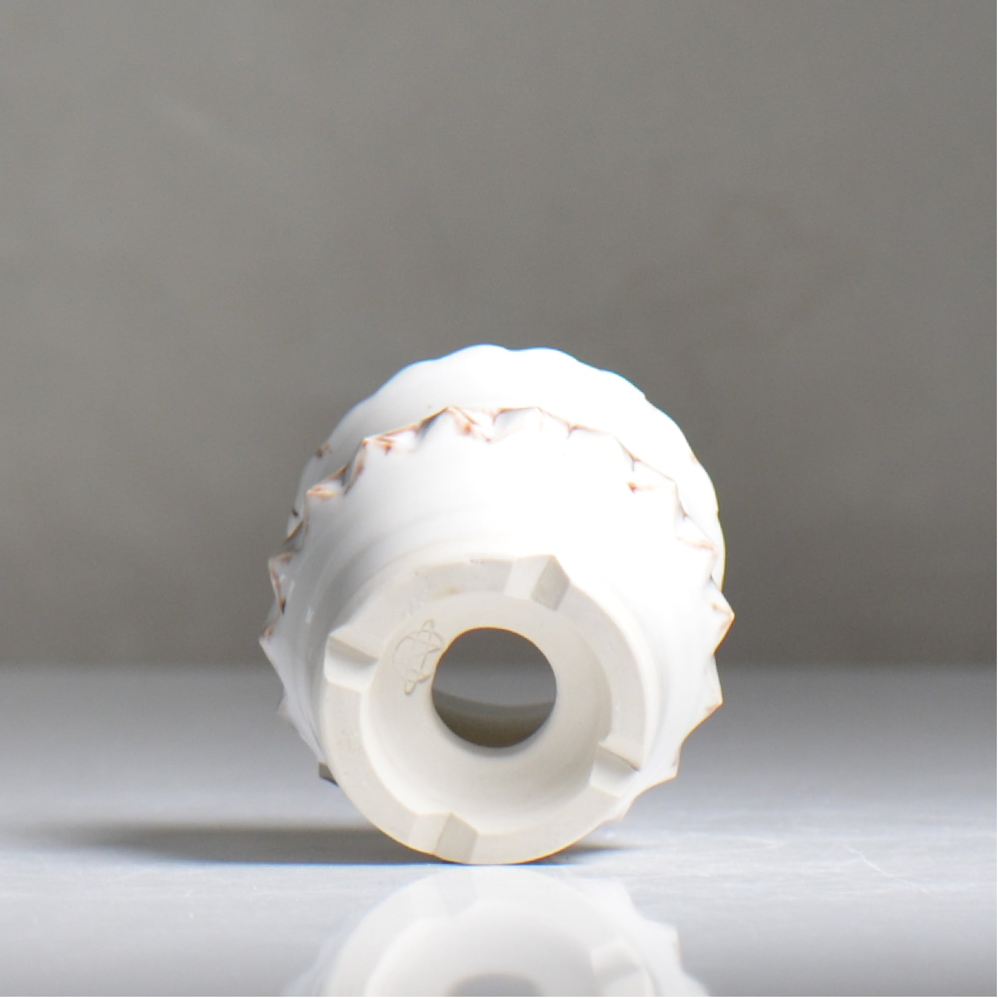 NAOTTERY / Cosmos /  nt2_cm11_xs /  約 φ7cm /  植木鉢