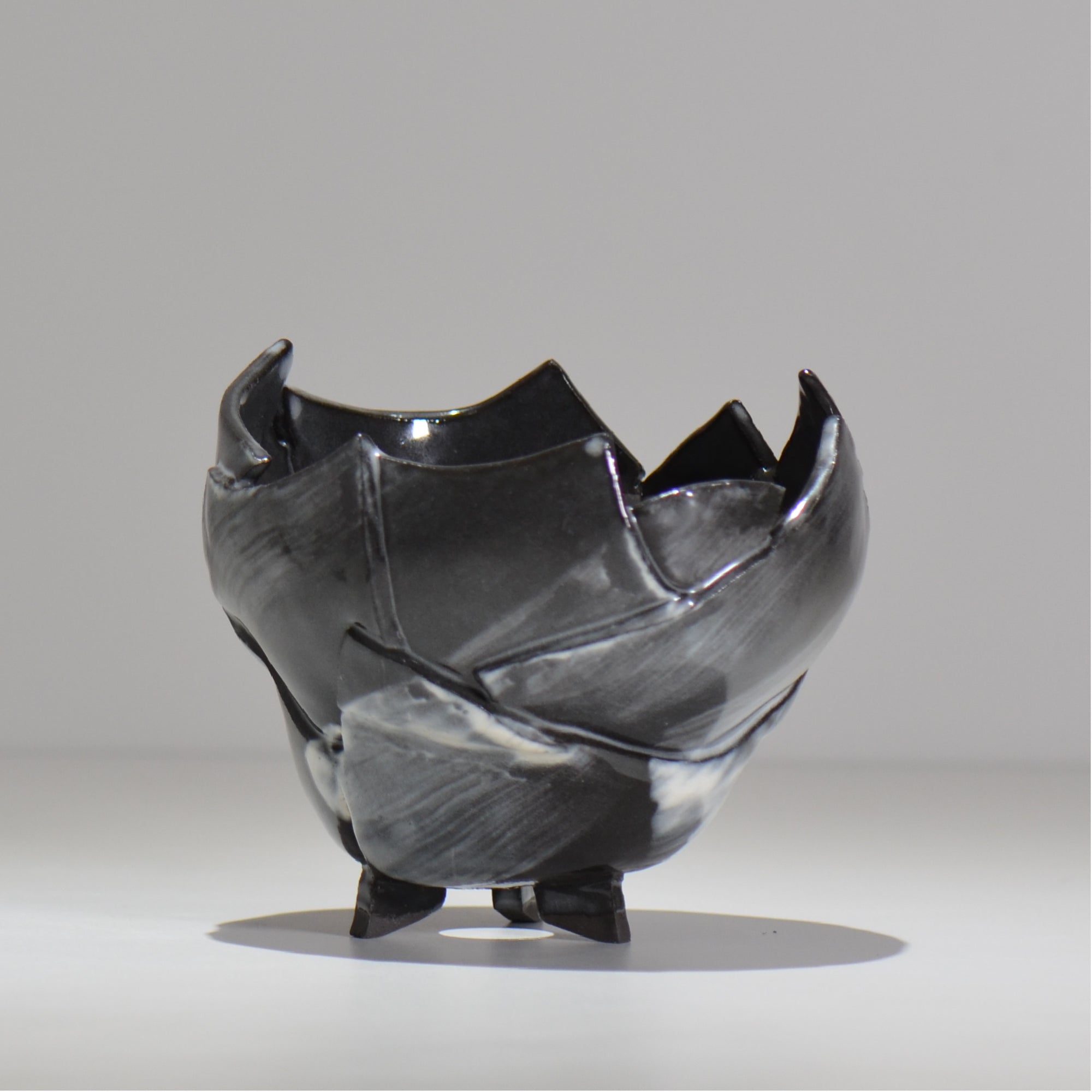 塊根植物・観葉植物の植木鉢専門店 「HACHILABO - ハチラボ- 」