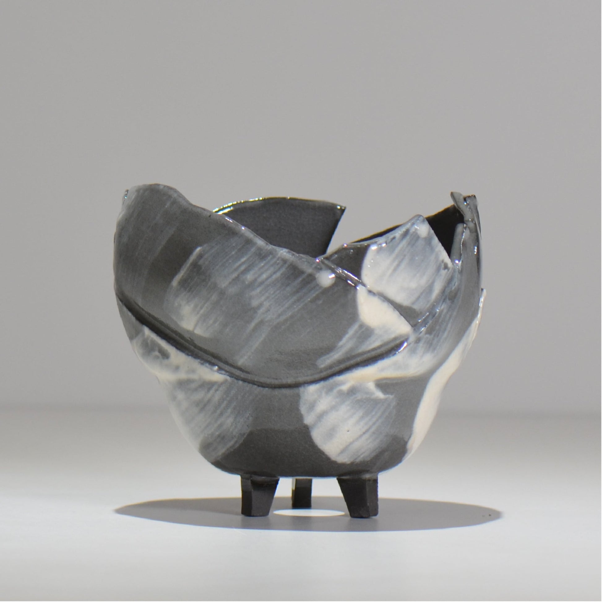 NAOTTERY / Nebula /  nt2_ne02_ / 約 φ12cm /  植木鉢