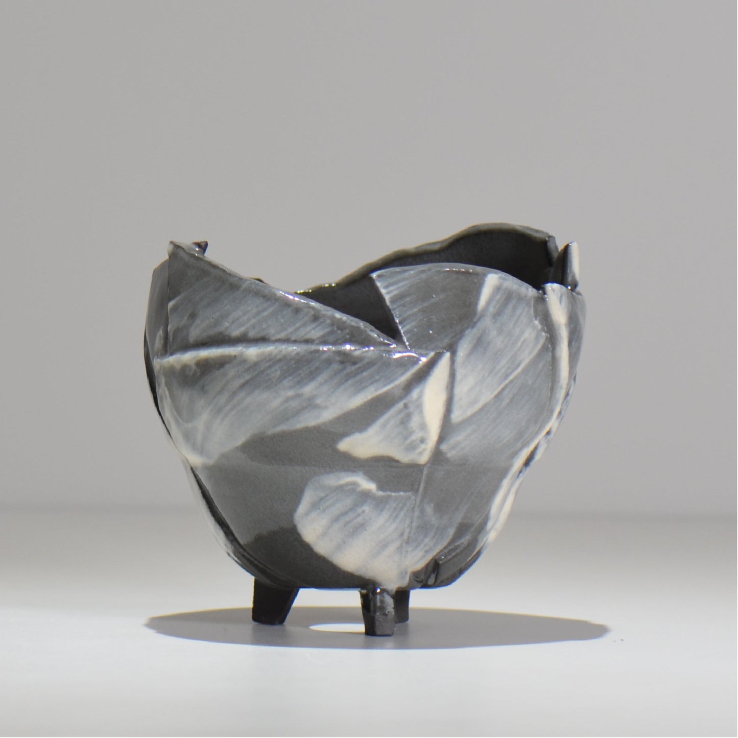 NAOTTERY / Nebula /  nt2_ne02_ / 約 φ12cm /  植木鉢