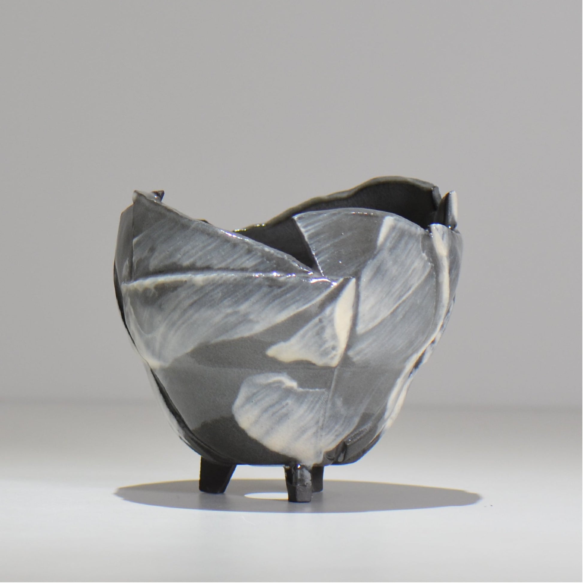 NAOTTERY / Nebula /  nt2_ne02_ / 約 φ12cm /  植木鉢