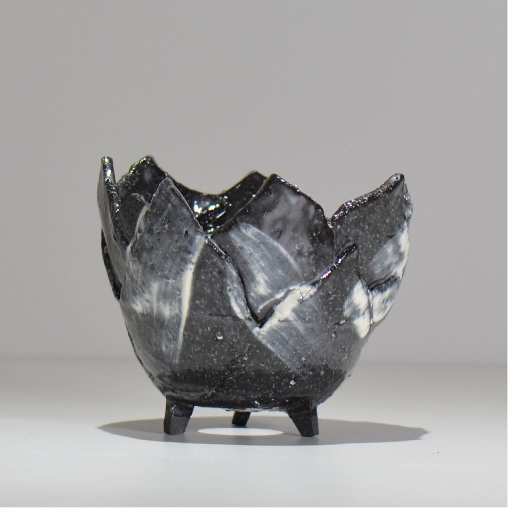 NAOTTERY / Nebula /  nt2_ne03_ / 約 φ13cm /  植木鉢