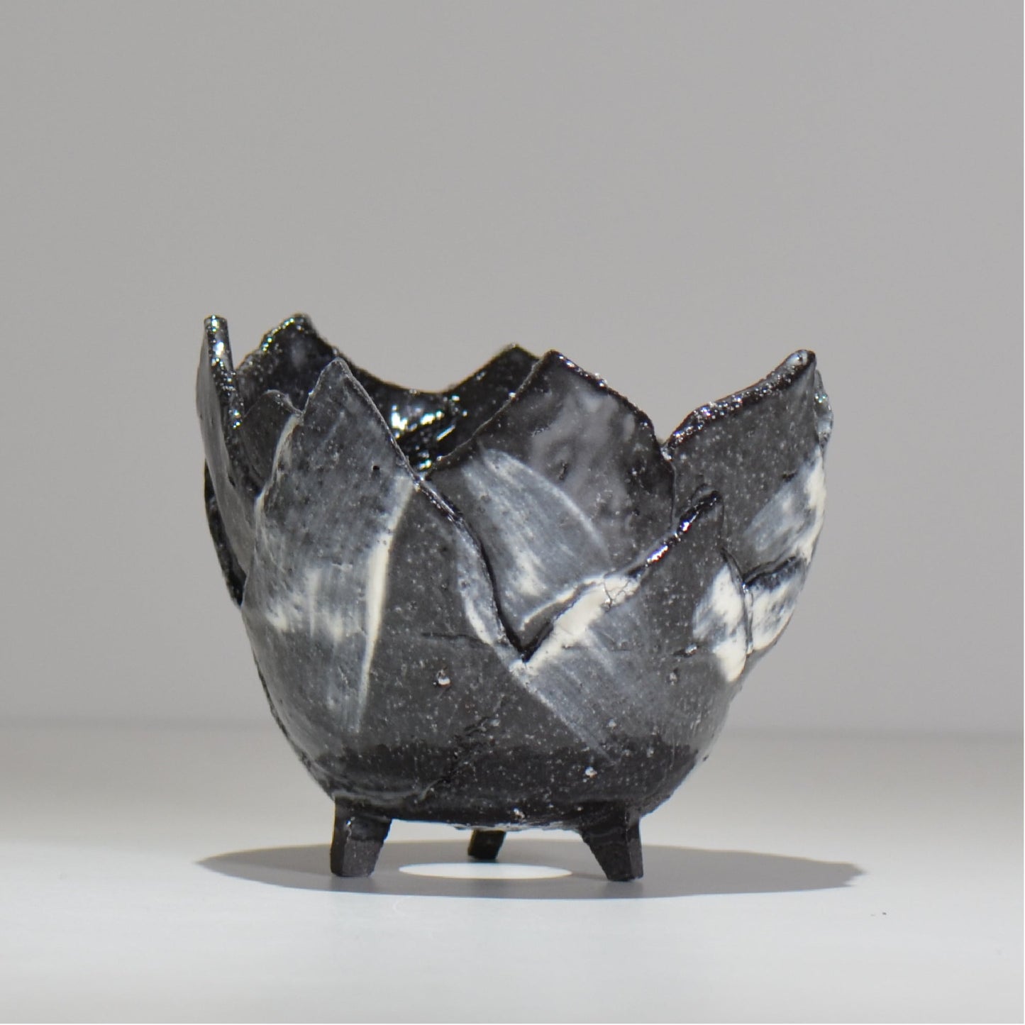 NAOTTERY / Nebula /  nt2_ne03_ / 約 φ13cm /  植木鉢