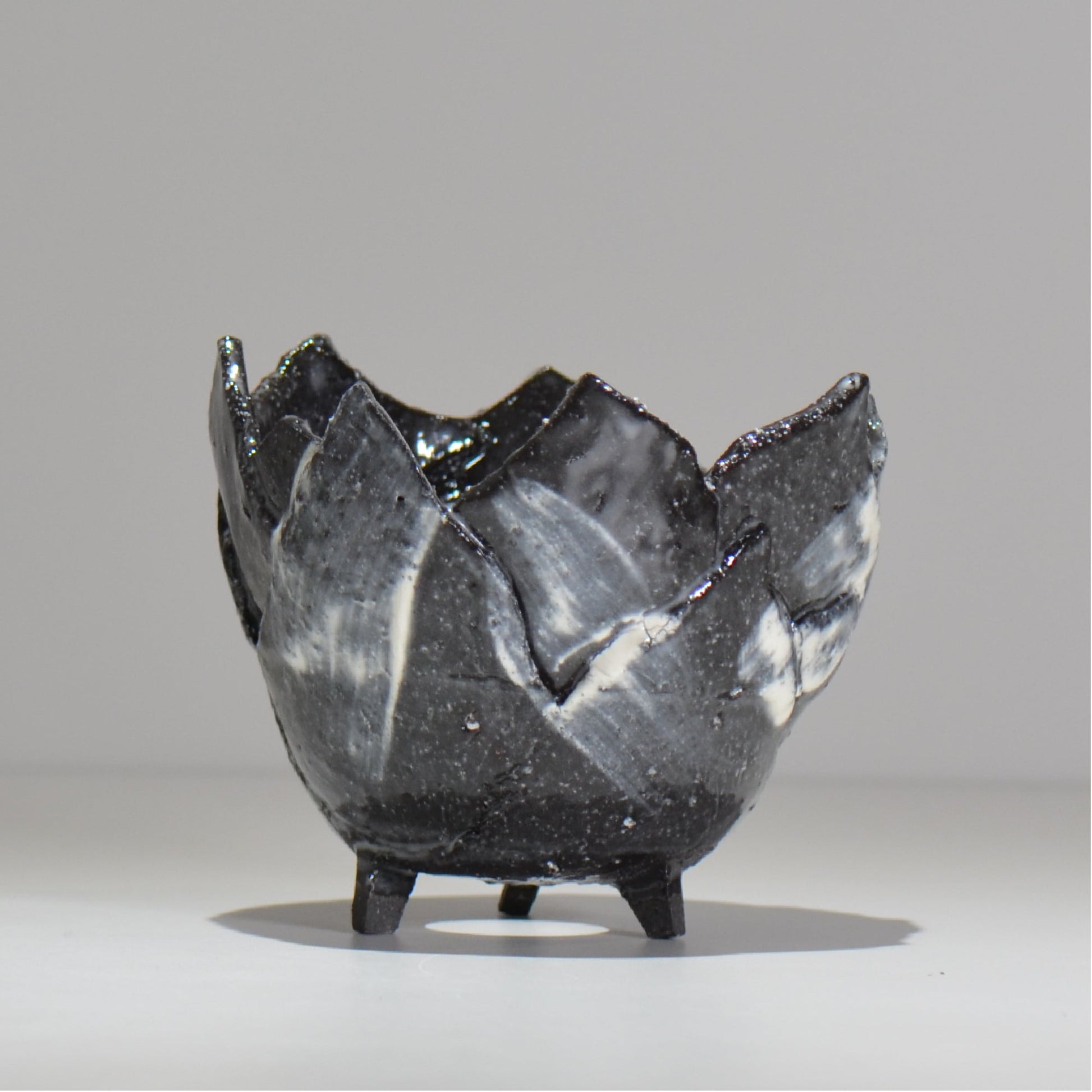 NAOTTERY / Nebula /  nt2_ne03_ / 約 φ13cm /  植木鉢