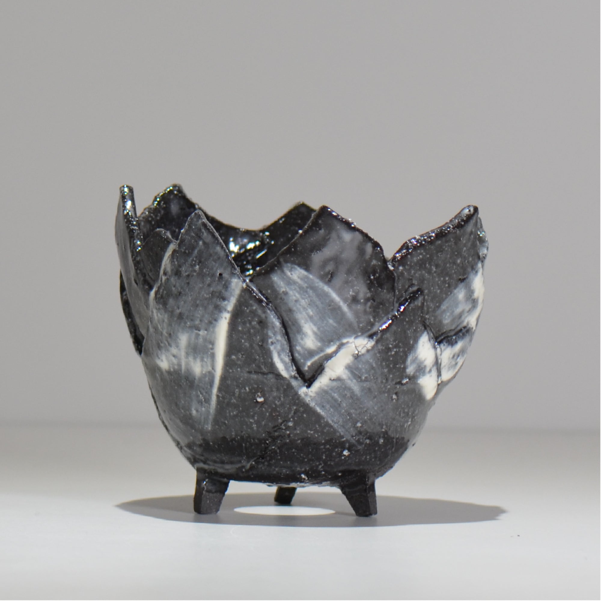 NAOTTERY / Nebula /  nt2_ne03_ / 約 φ13cm /  植木鉢