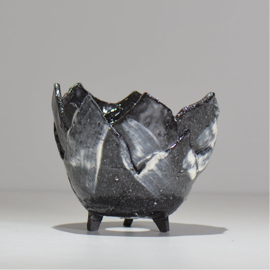 NAOTTERY / Nebula /  nt2_ne03_ / 約 φ13cm /  植木鉢