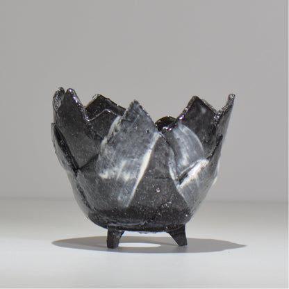 NAOTTERY / Nebula /  nt2_ne03_ / 約 φ13cm /  植木鉢