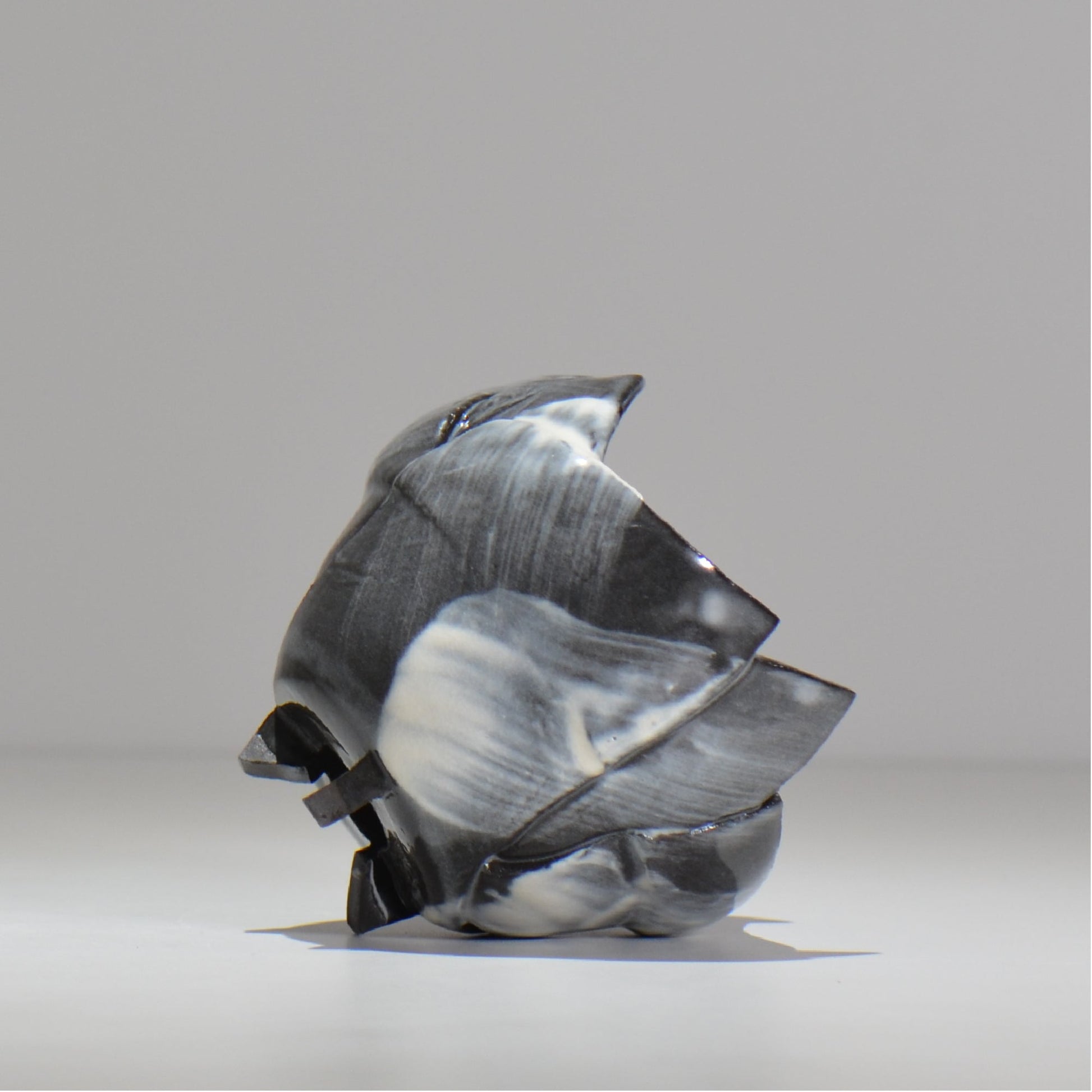 NAOTTERY / Nebula /  nt2_ne05_ / 約 φ10.5cm /  植木鉢