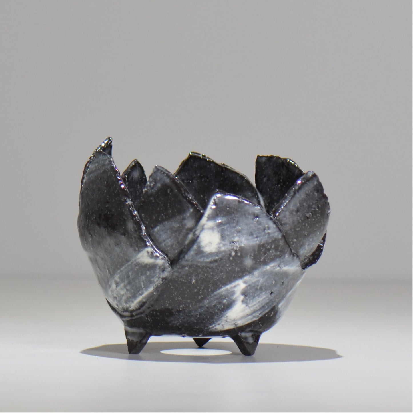 NAOTTERY / Nebula /  nt2_ne06_ / 約 φ11cm /  植木鉢