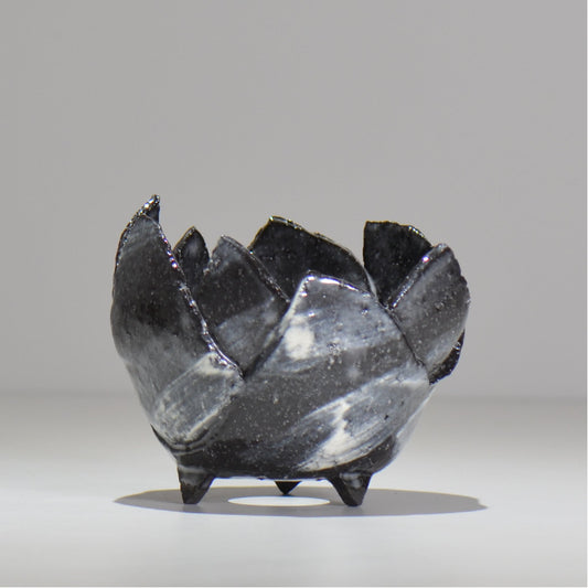 NAOTTERY / Nebula /  nt2_ne06_ / 約 φ11cm /  植木鉢