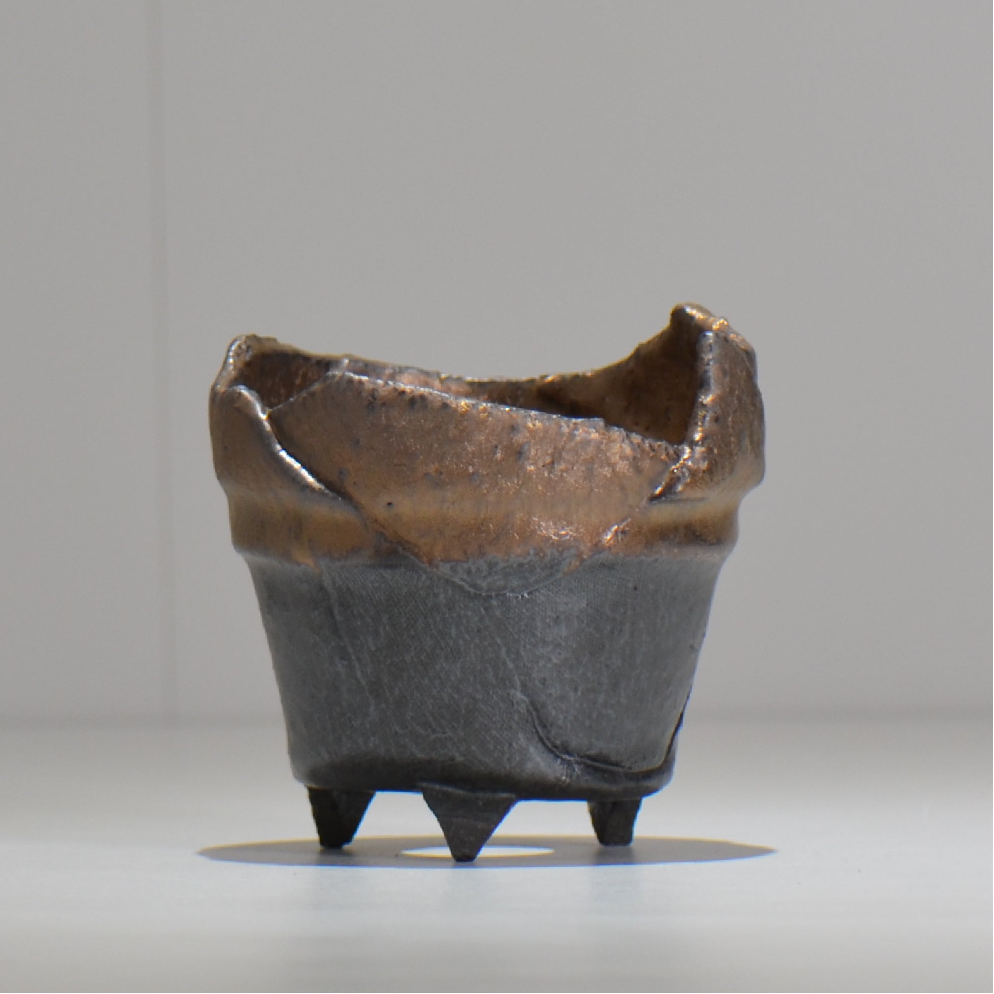 塊根植物・観葉植物の植木鉢専門店 「HACHILABO - ハチラボ- 」