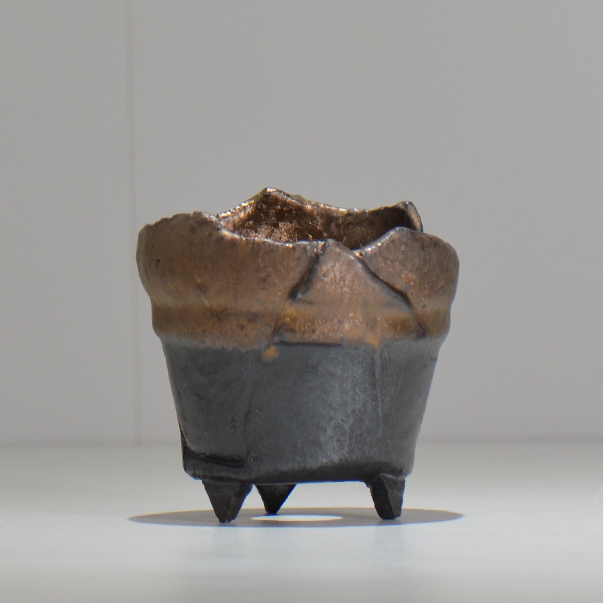 塊根植物・観葉植物の植木鉢専門店 「HACHILABO - ハチラボ- 」