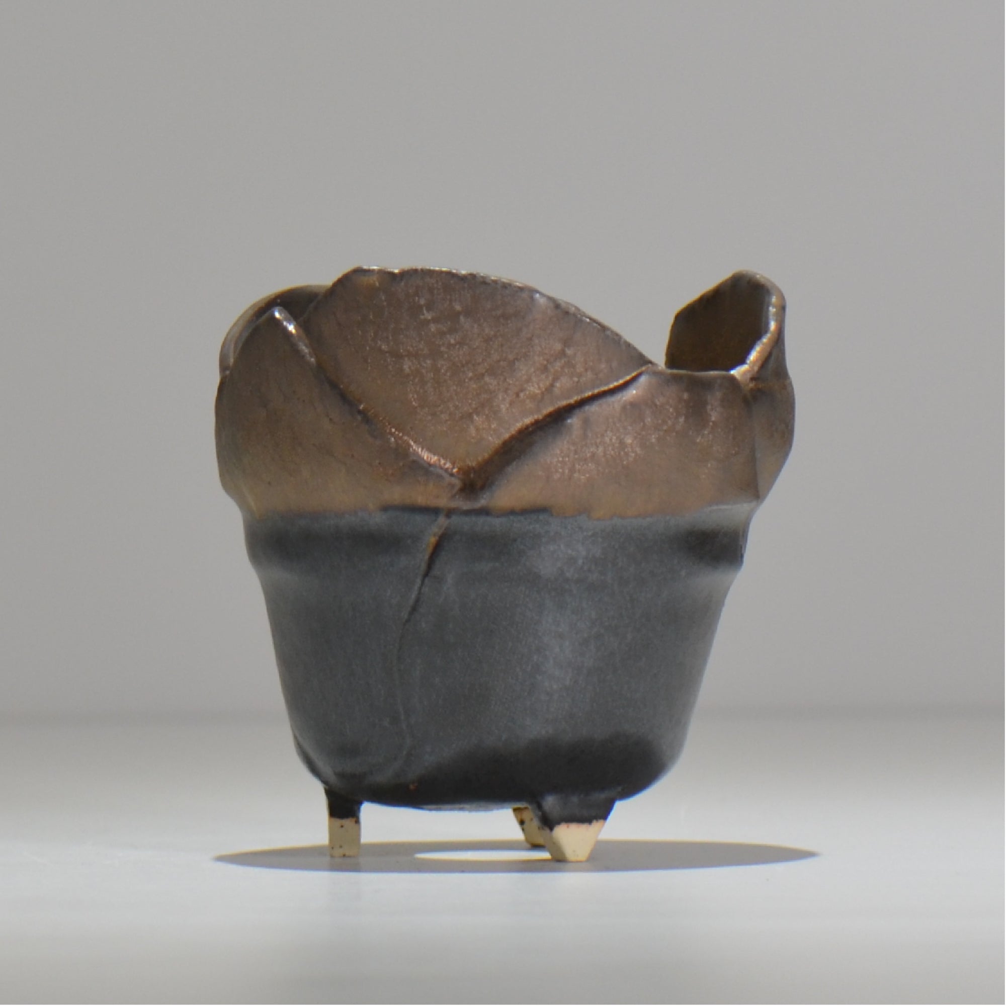 塊根植物・観葉植物の植木鉢専門店 「HACHILABO - ハチラボ- 」