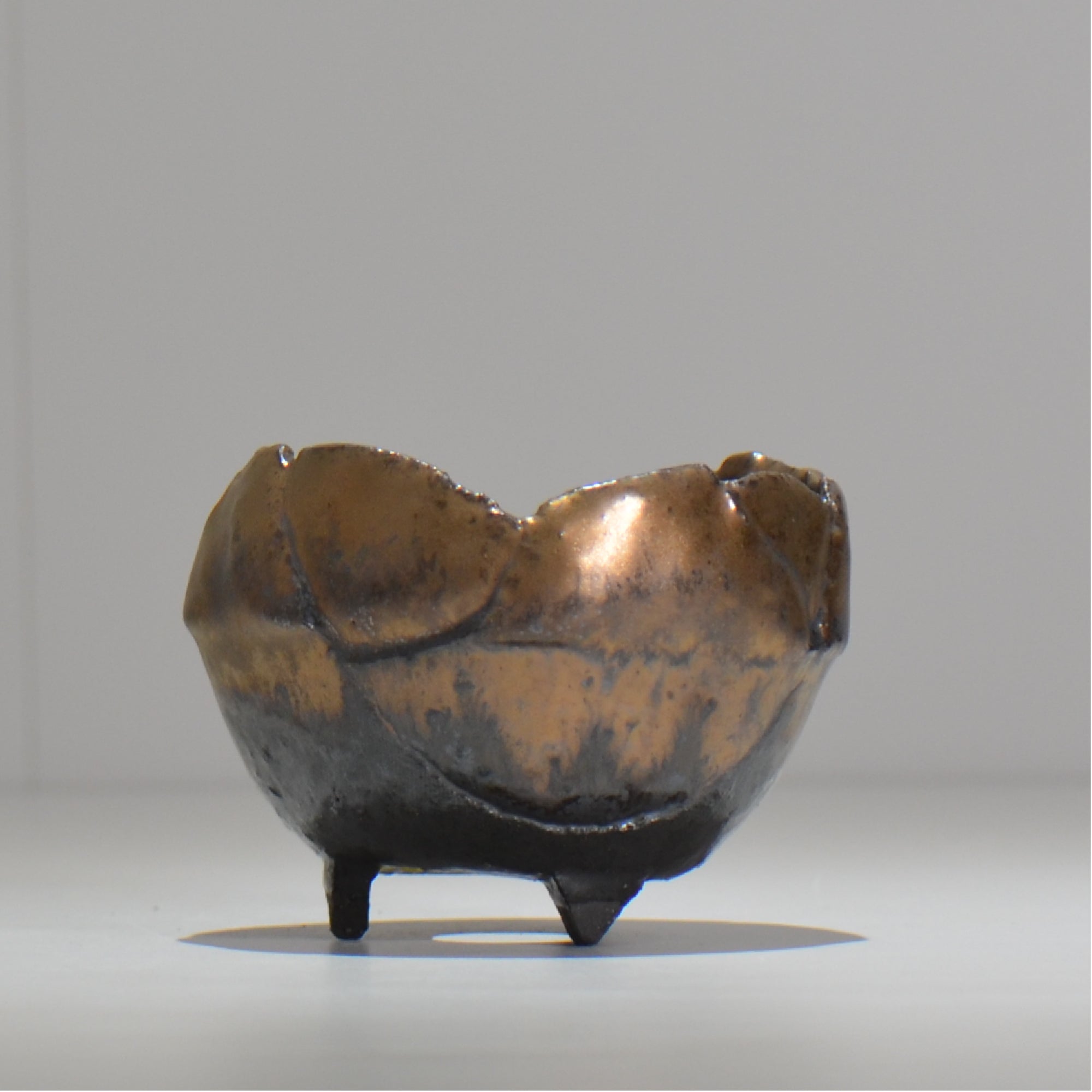 NAOTTERY / Jupiter /  nt3_jp08_s /  約 φ10cm /  植木鉢