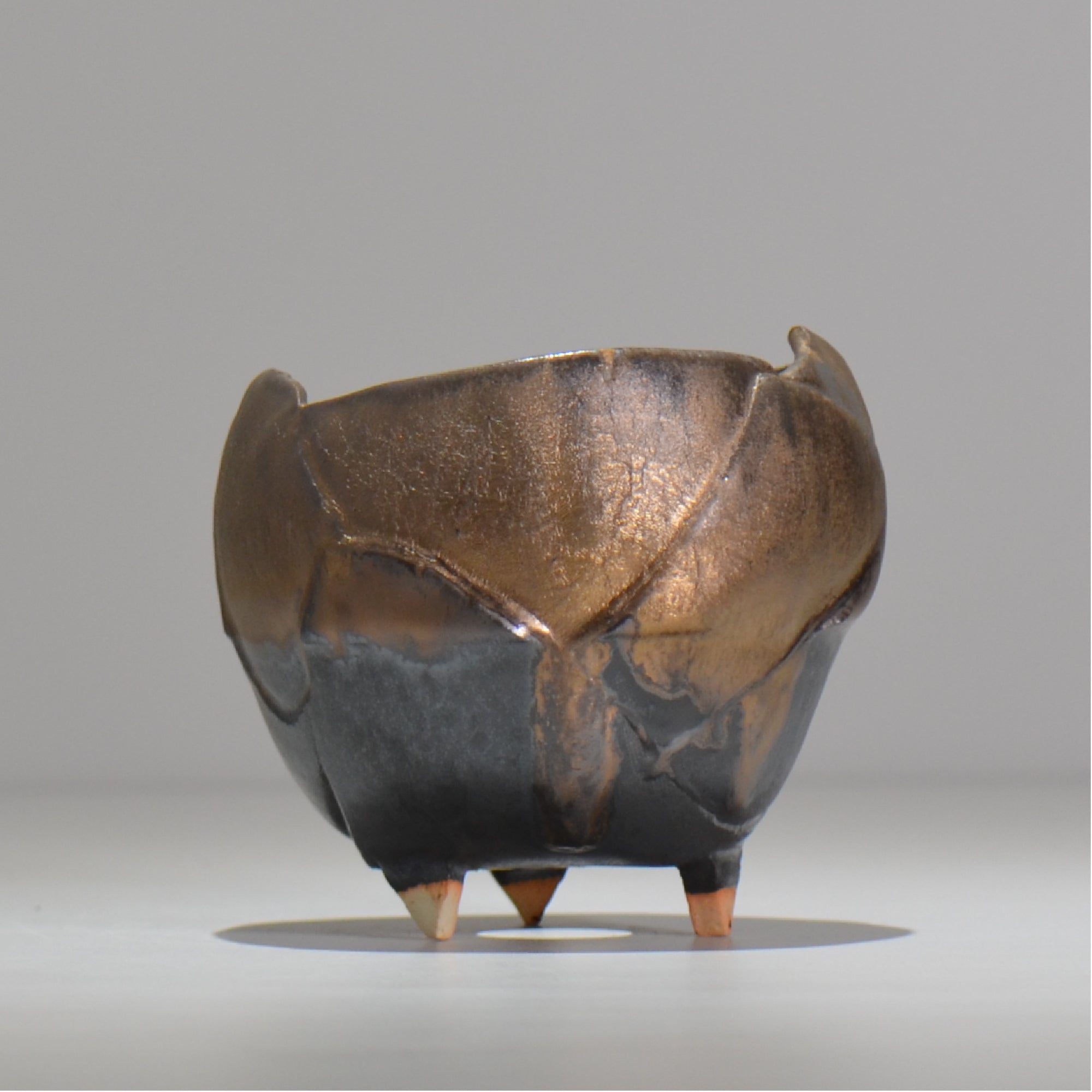 NAOTTERY / Jupiter /  nt3_jp10_s /  約 φ10cm /  植木鉢