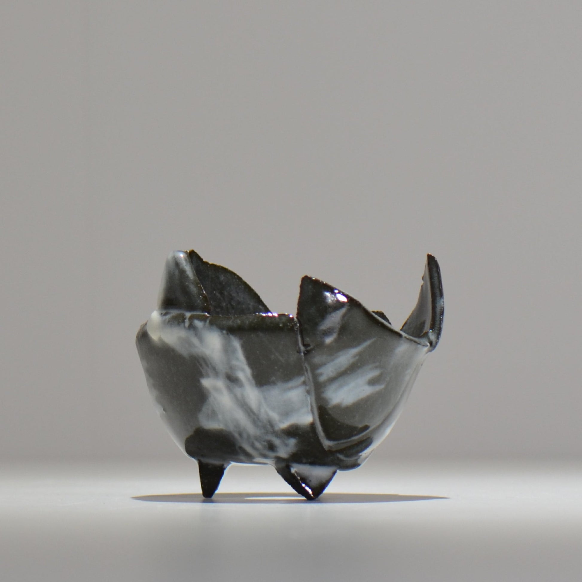 NAOTTERY / Nebula/  nt_ne1_s /  約 φ10cm /  植木鉢