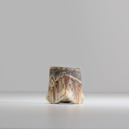沼野秀章 / 刻ム音 / nu02_so01_xs / 約 φ5.5cm  /  植木鉢