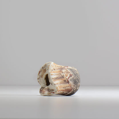 沼野秀章 / 刻ム音 / nu02_so01_xs / 約 φ5.5cm  /  植木鉢