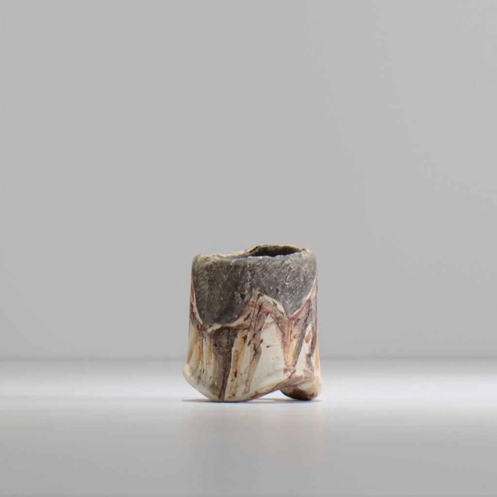 沼野秀章 / 刻ム音 / nu02_so02_xs / 約 φ5.5cm  /  植木鉢