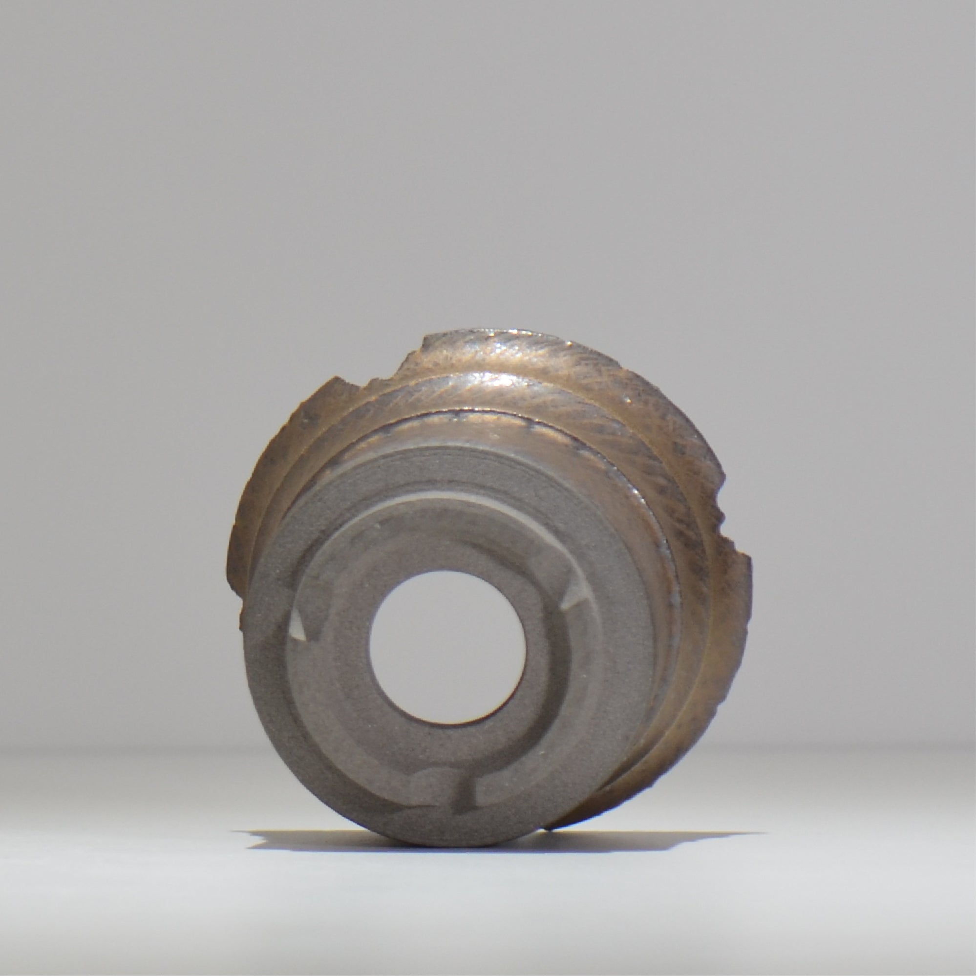 仲田唯希人 / ny_lzd04_s / 約 φ10.8cm / 植木鉢