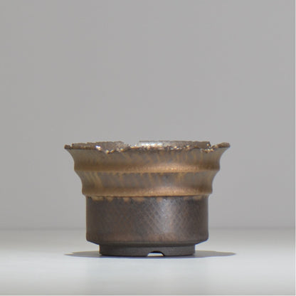 仲田唯希人 / ny_lzd05_s / 約 φ11cm / 植木鉢