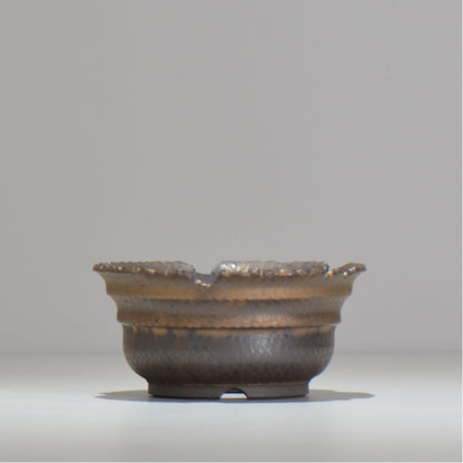 仲田唯希人 / ny_lzd07_m / 約 φ12.5cm / 植木鉢