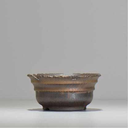 仲田唯希人 / ny_lzd07_m / 約 φ12.5cm / 植木鉢