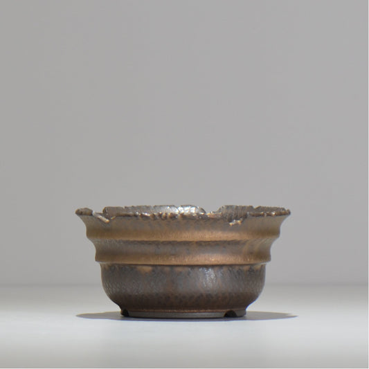 仲田唯希人 / ny_lzd08_m / 約 φ12.5cm / 植木鉢