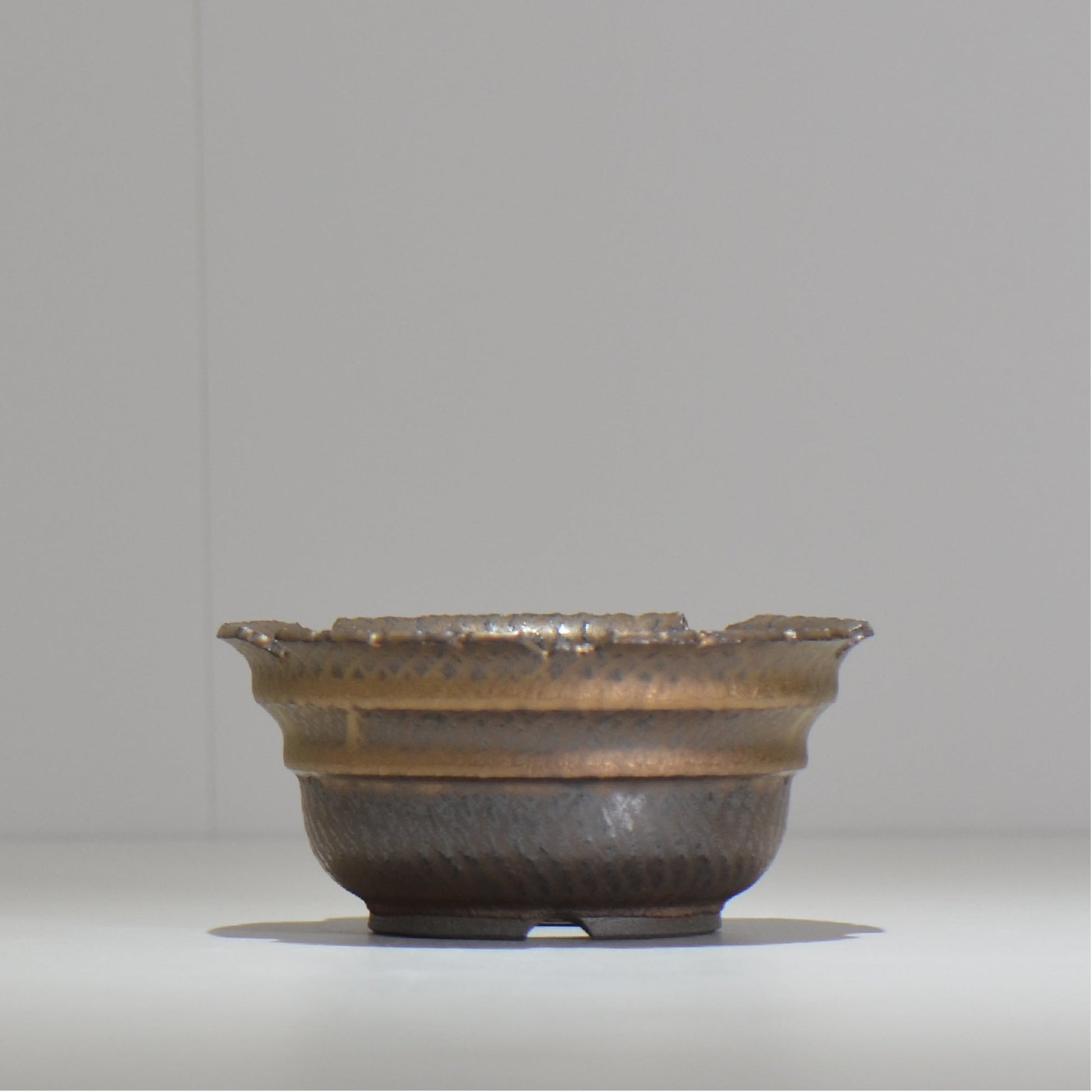 仲田唯希人 / ny_lzd09_m/ 約 φ13cm / 植木鉢