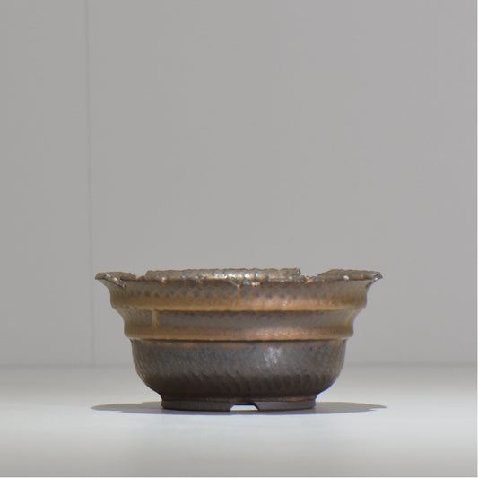 仲田唯希人 / ny_lzd09_m/ 約 φ13cm / 植木鉢