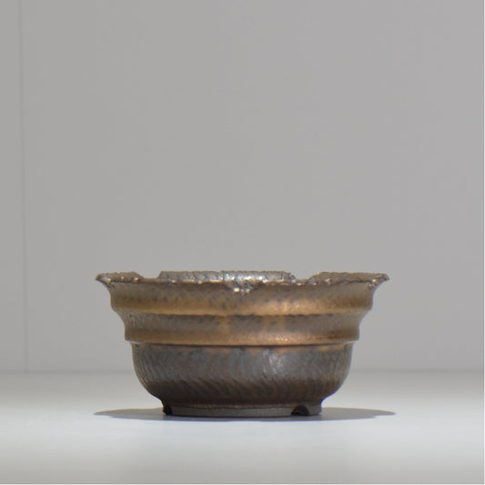 仲田唯希人 / ny_lzd09_m/ 約 φ13cm / 植木鉢