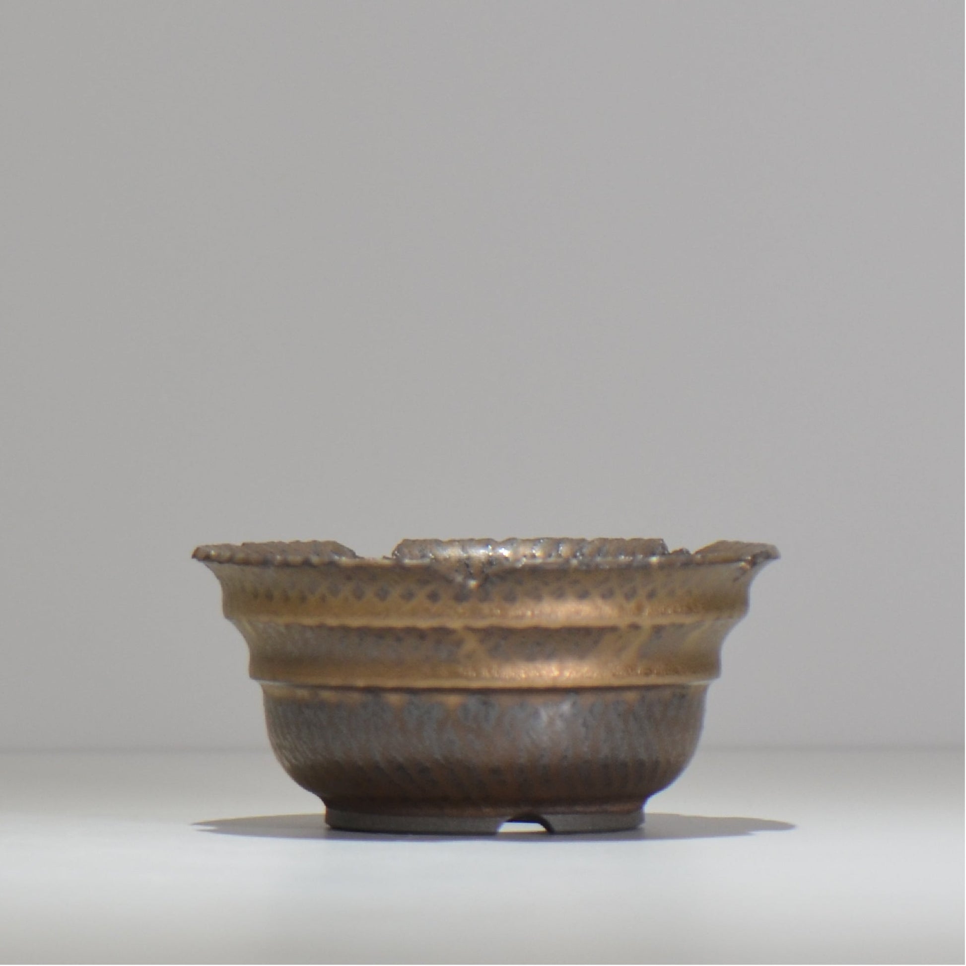 仲田唯希人 / ny_lzd09_m/ 約 φ13cm / 植木鉢