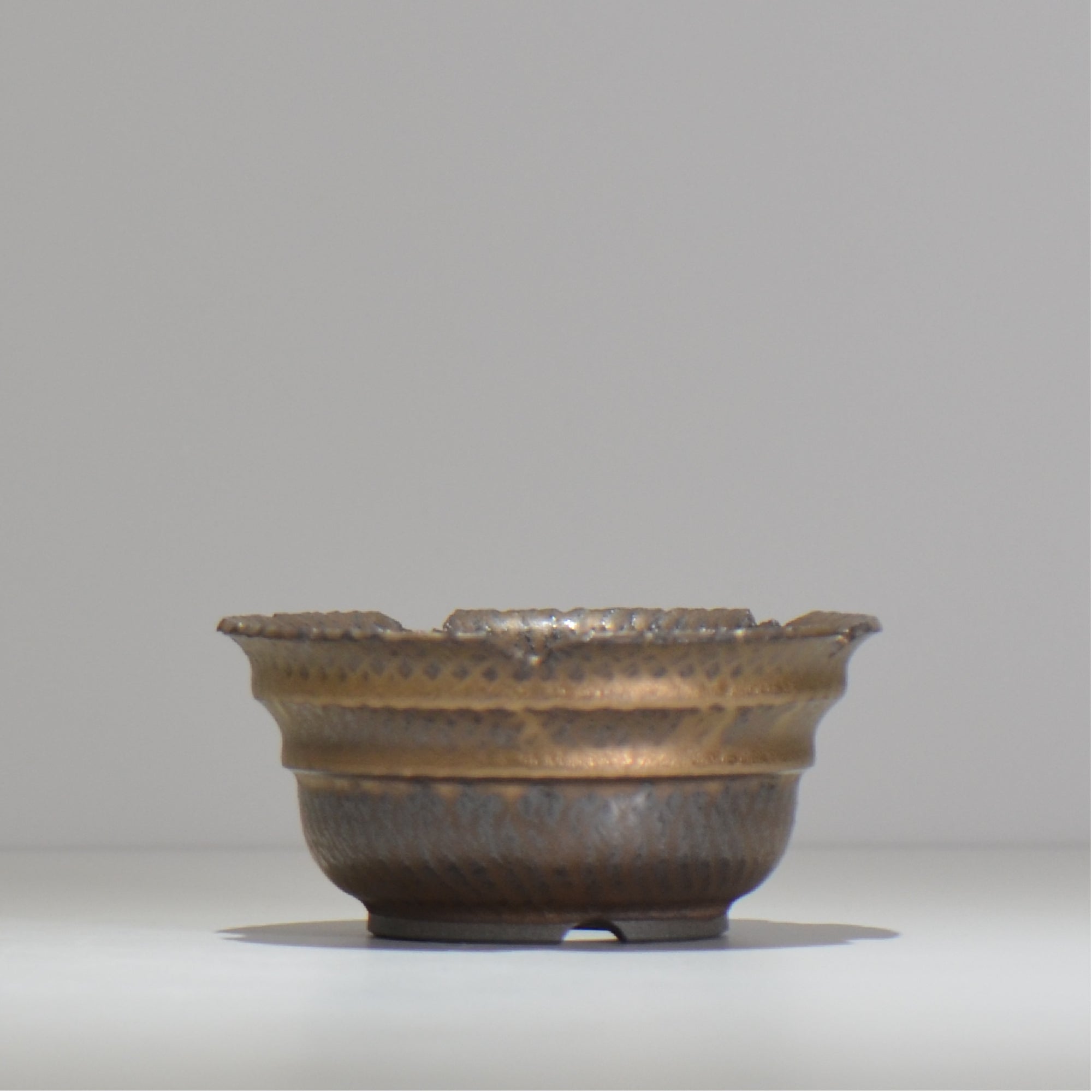 仲田唯希人 / ny_lzd09_m/ 約 φ13cm / 植木鉢