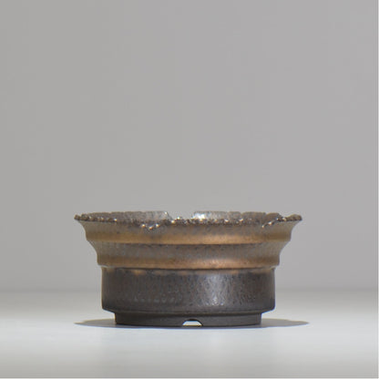 仲田唯希人 / ny_lzd10_m / 約 φ13cm / 植木鉢